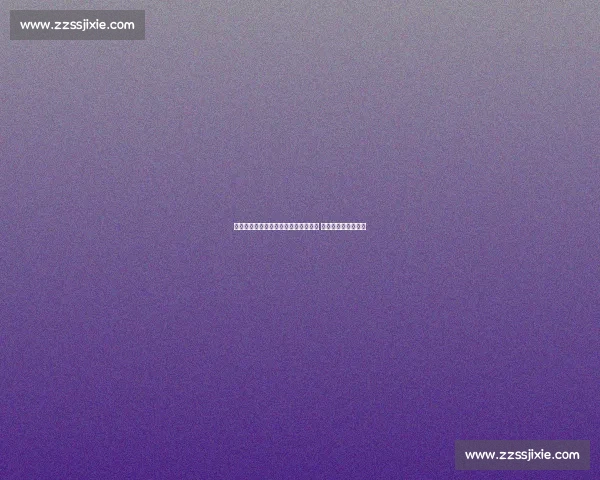 维拉新星齐赫租借加盟波兰琴斯托霍瓦 开启职业生涯新篇章